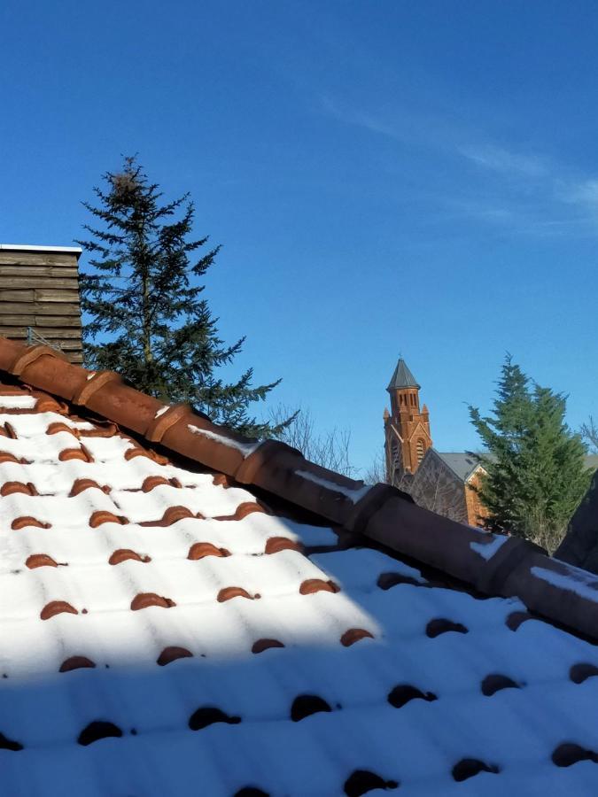 Speculoos Et Chicoree Villeneuve-d'Ascq Bagian luar foto